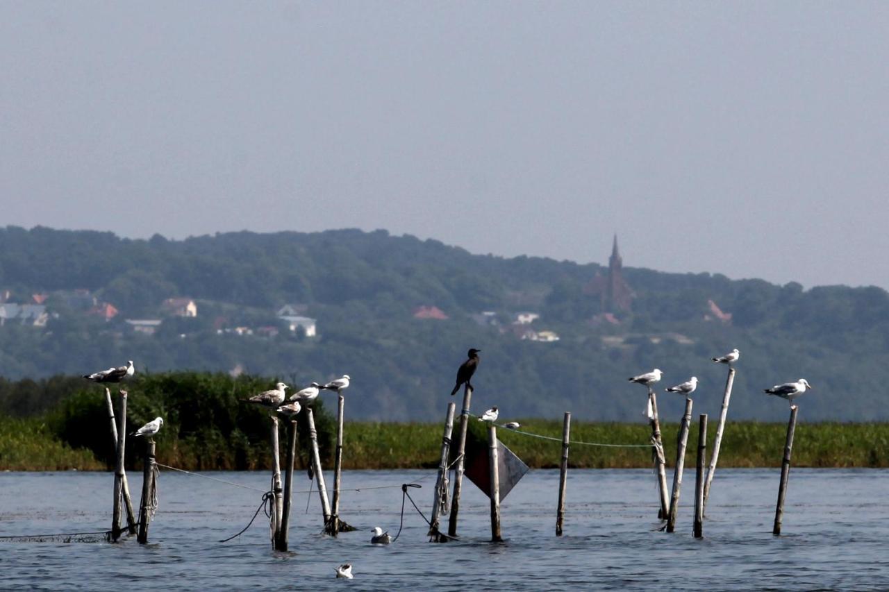 Domki Na Gorce Miedzyzdroje Esterno foto